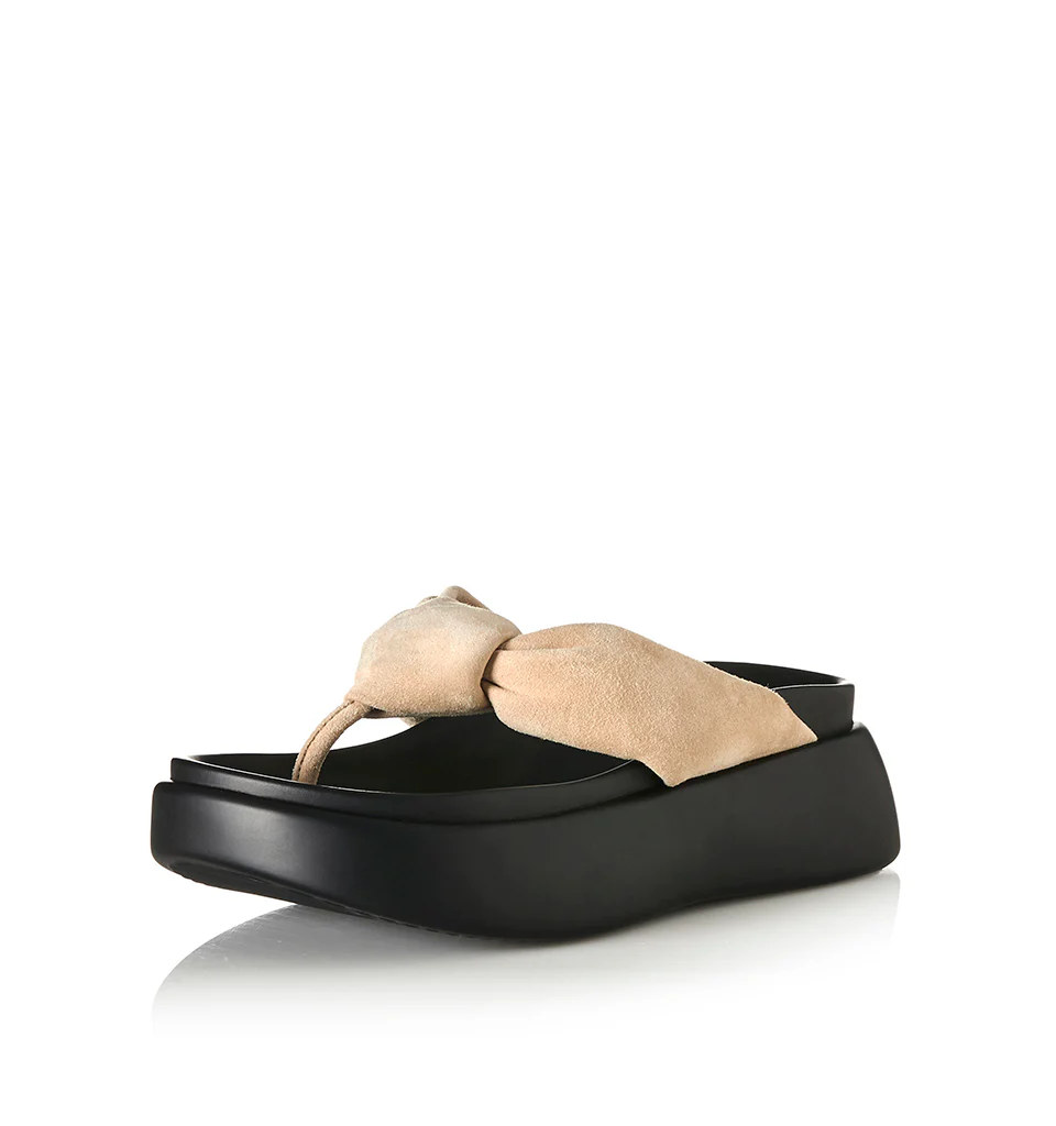 Curtis - Image 18