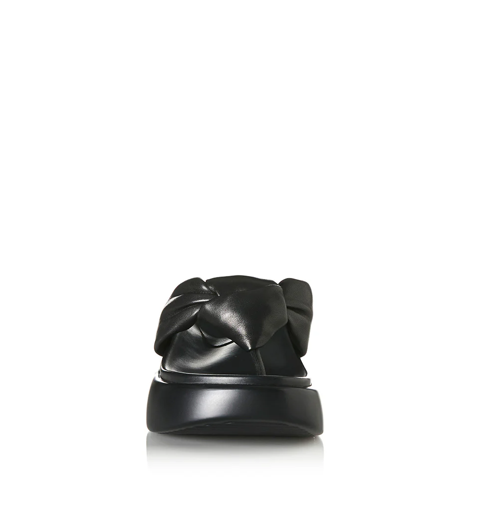 Curtis - Image 5