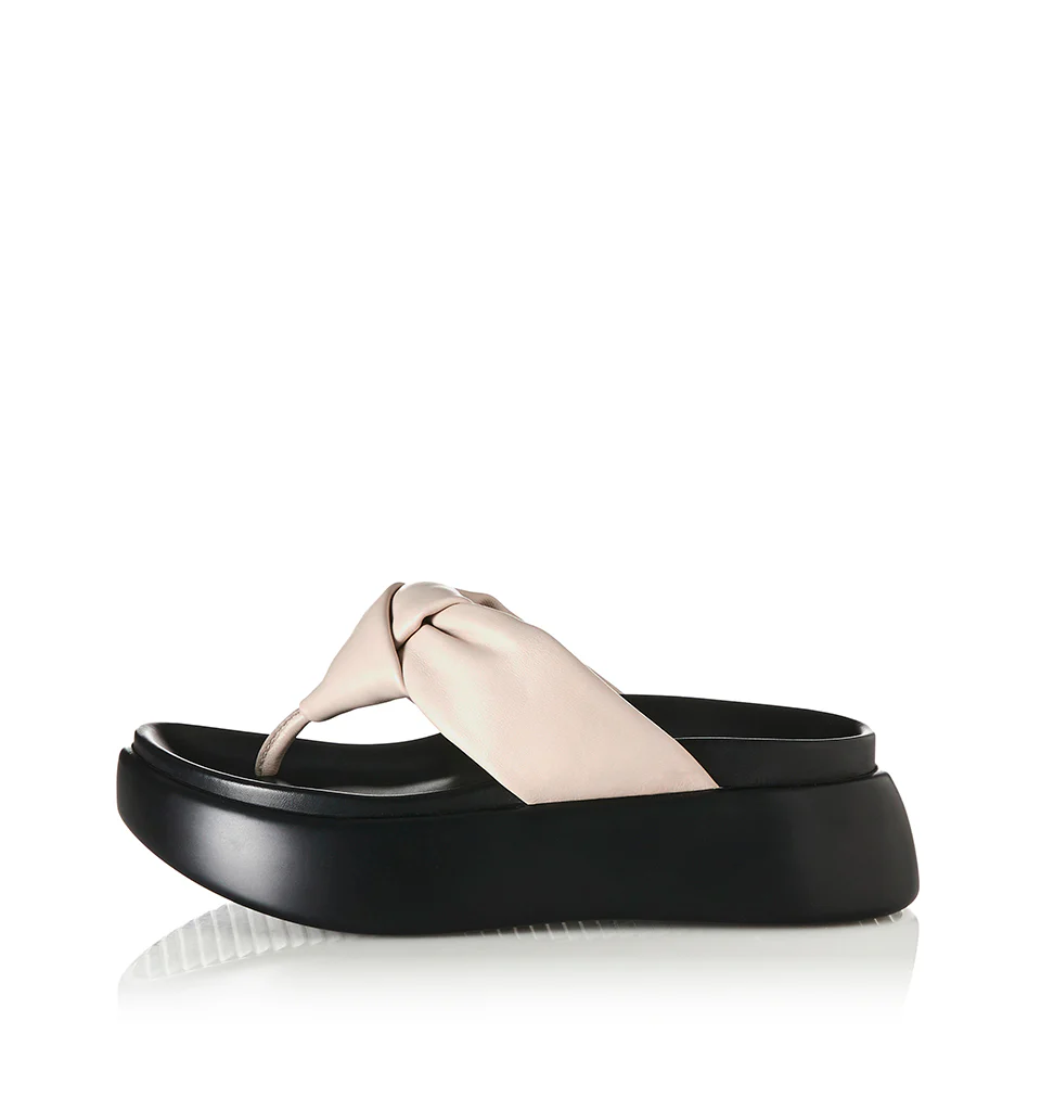 Curtis - Image 6