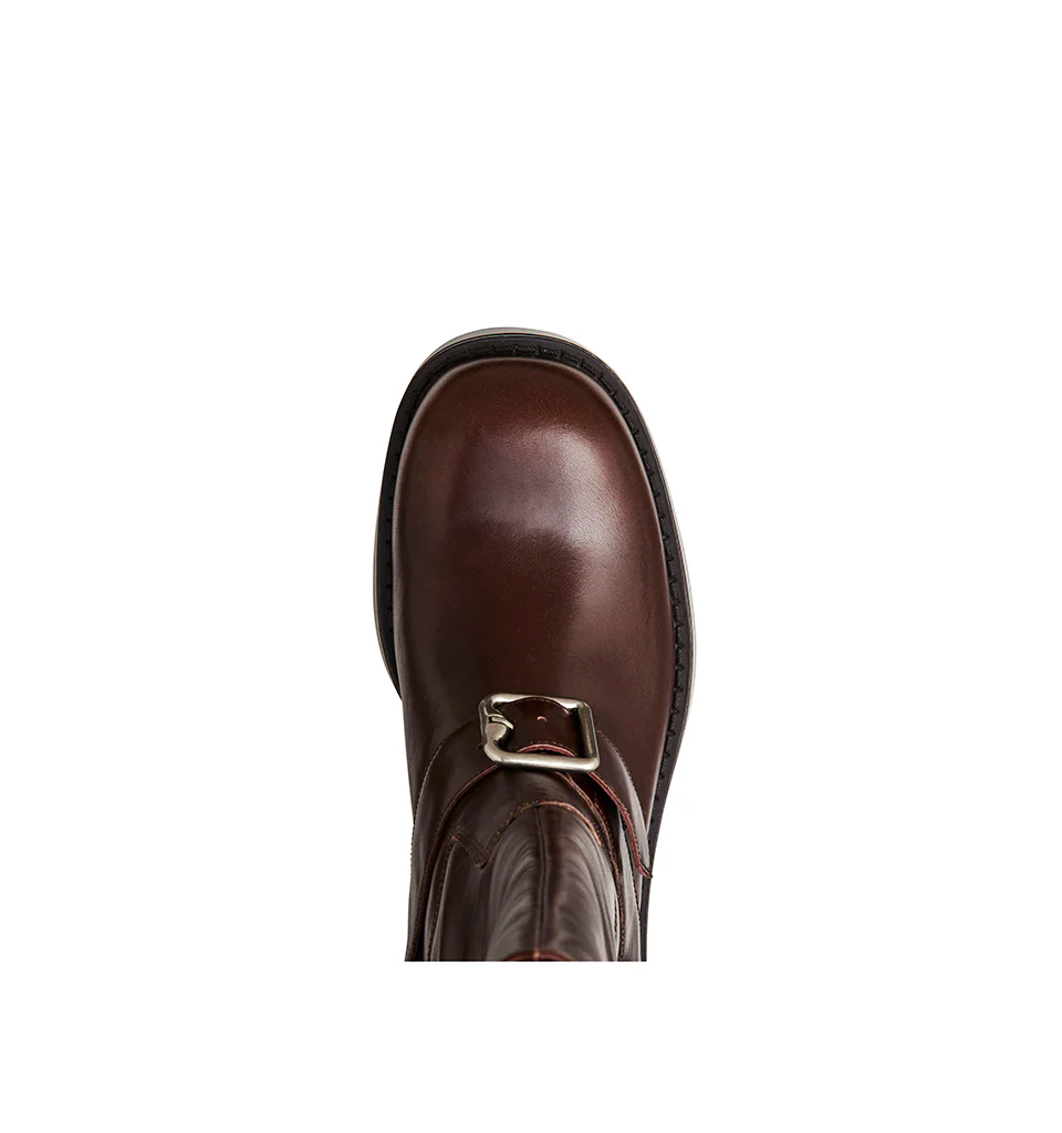 Dion - Image 12