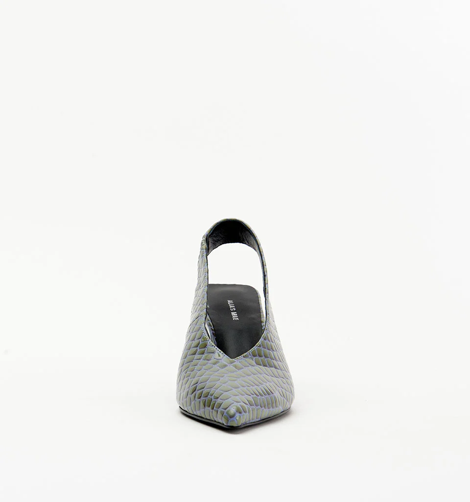 Frankie - Image 15
