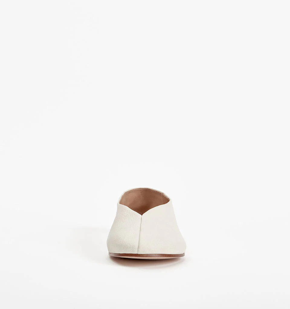 Koa - Image 10