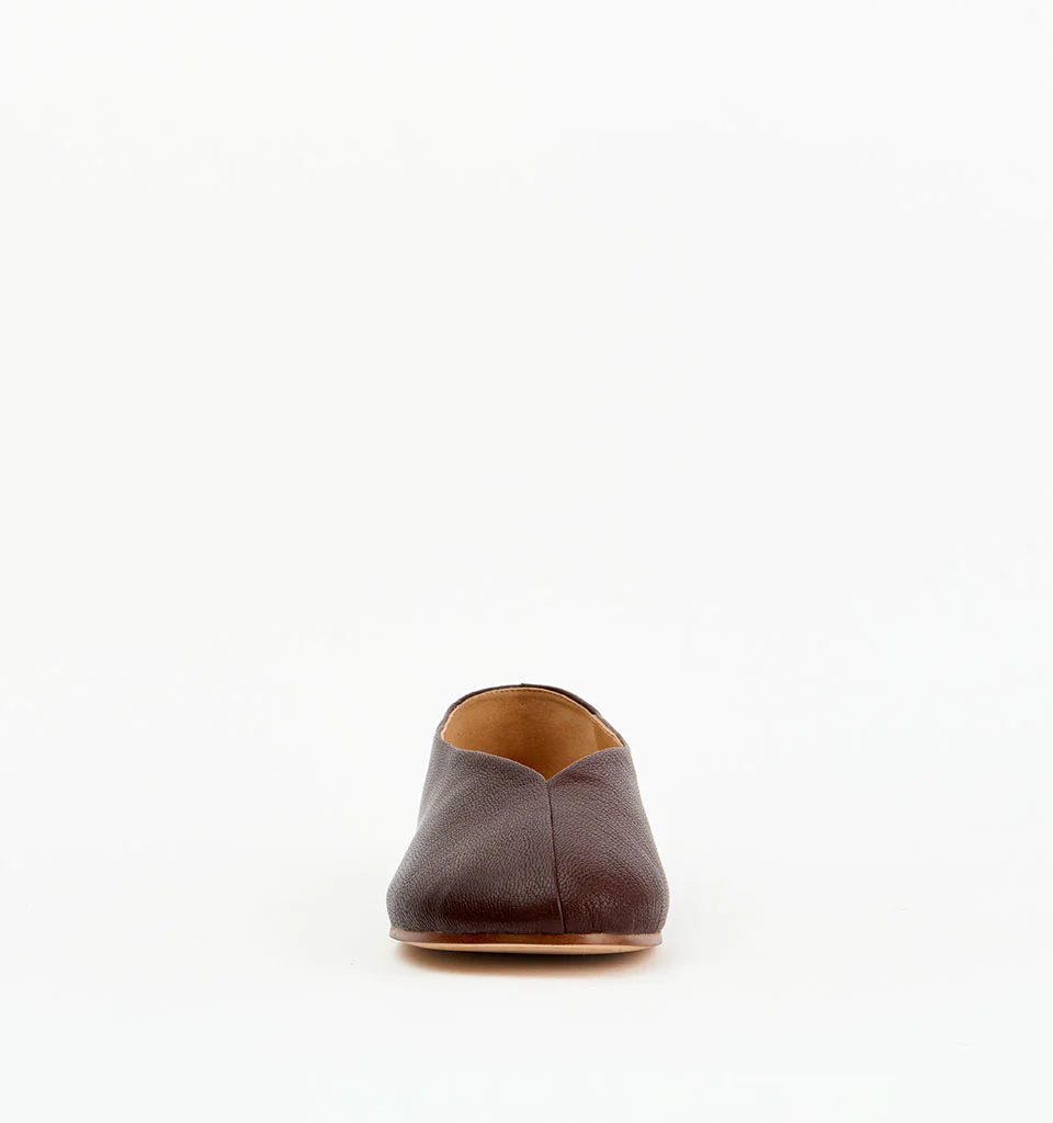Koa - Image 15