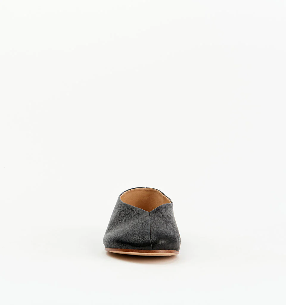 Koa - Image 5