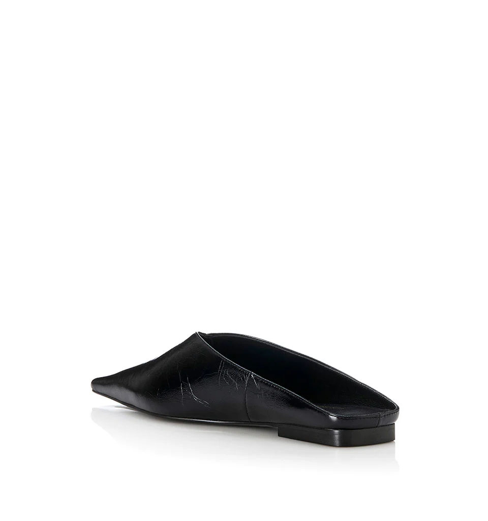 Olive - Image 4