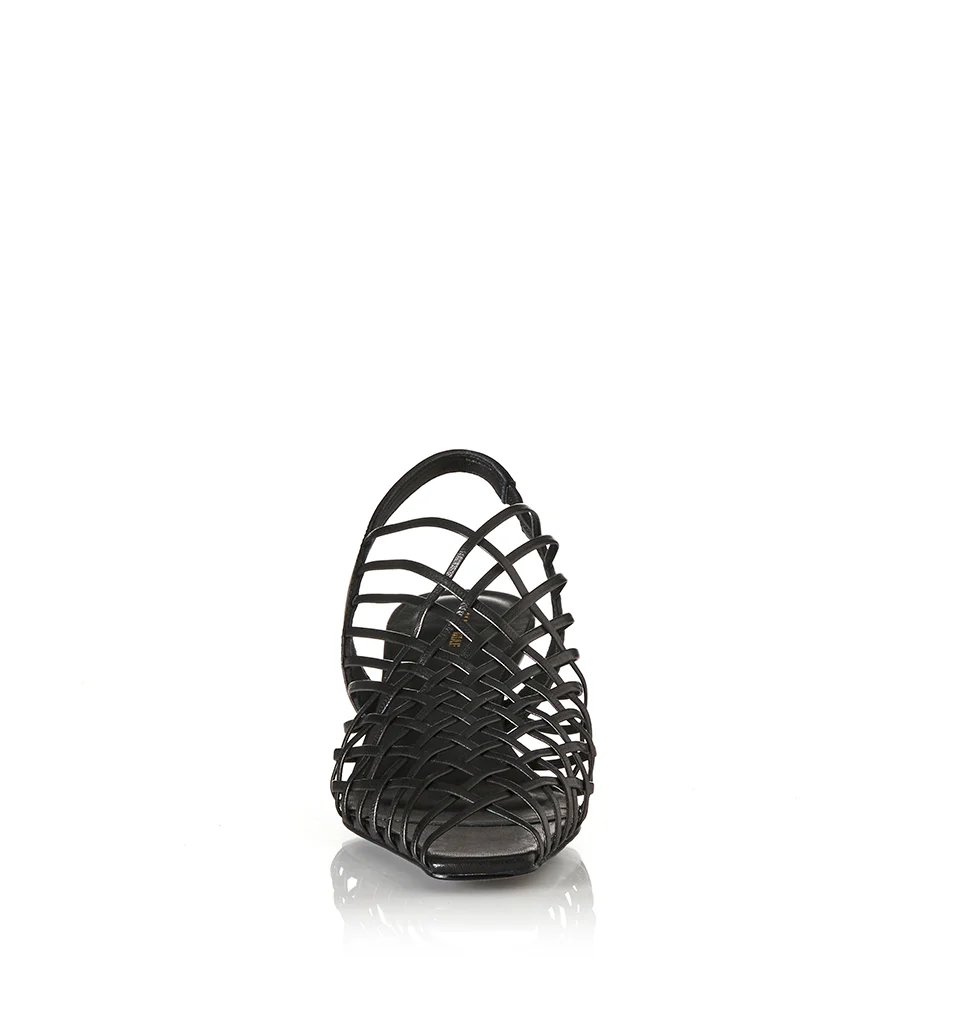 Poppy - Image 5