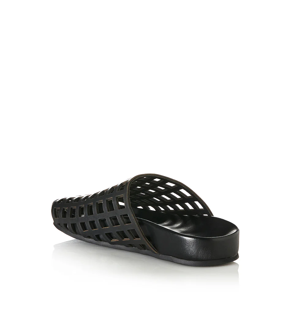 Shaan - Image 3
