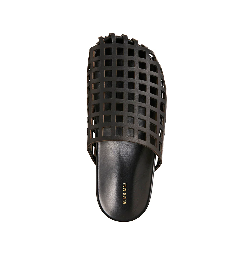 Shaan - Image 5