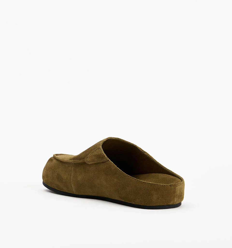 Shan - Image 14