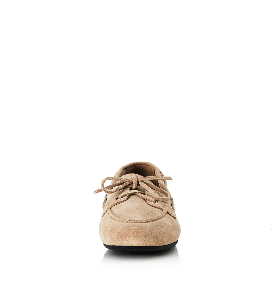 Teddy - Image 16