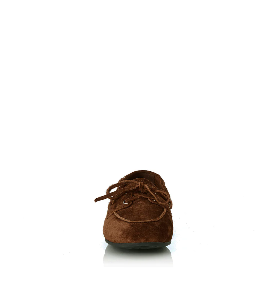 Teddy - Image 5