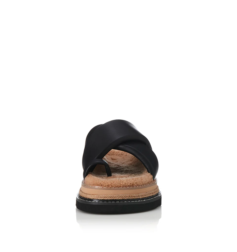 Venga - Image 15